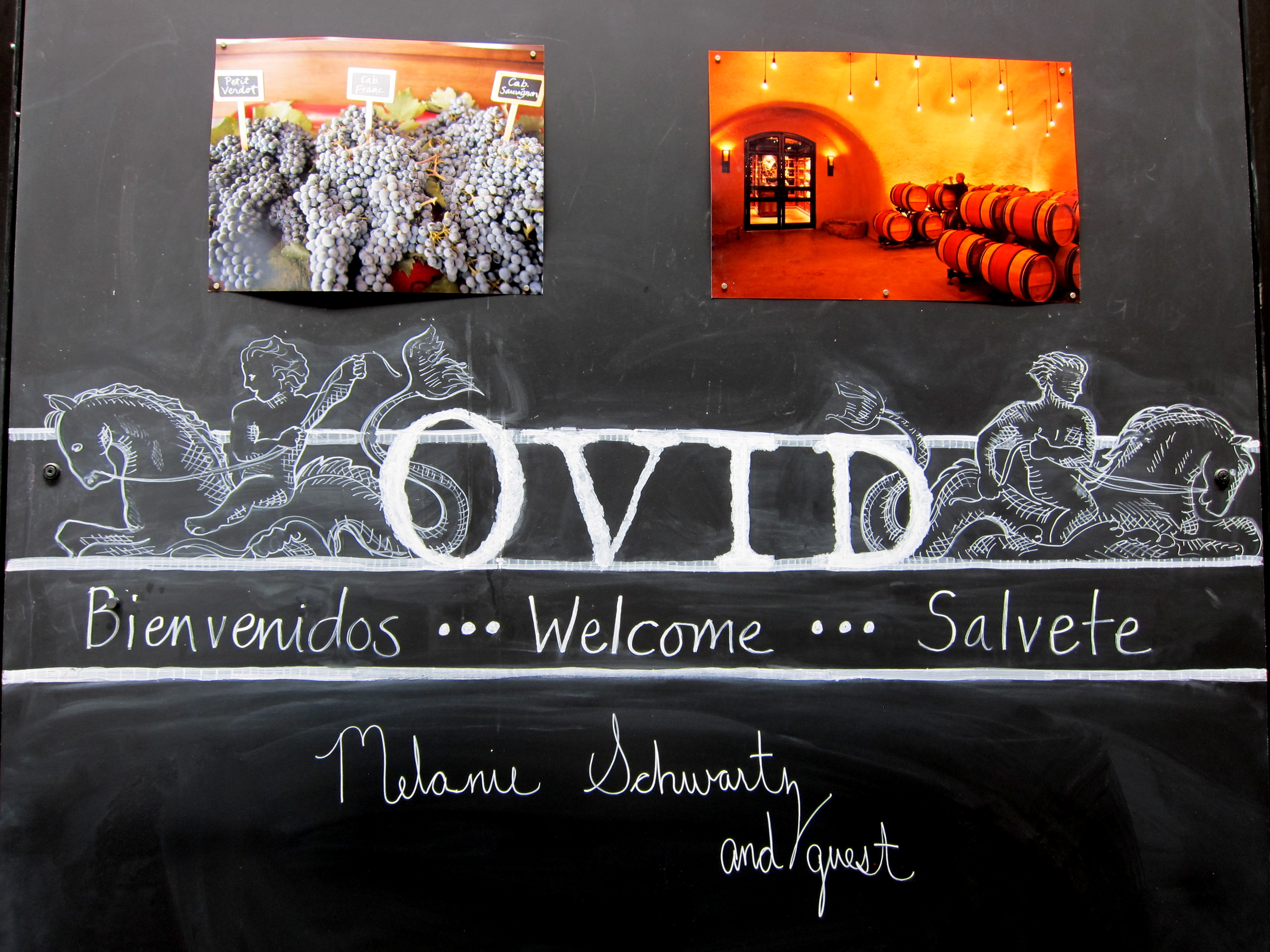 Ovid Wines Napa Valley - Booker and Butler Concierges