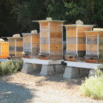 Stone Edge Farm Beehives - Booker and Butler Concierges