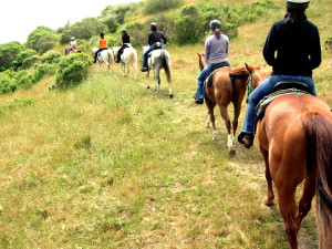 Napa Horseback Riding - Booker and Butler Concierges