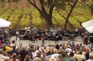 BRCohnmusicfest