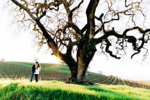 romanticsonoma