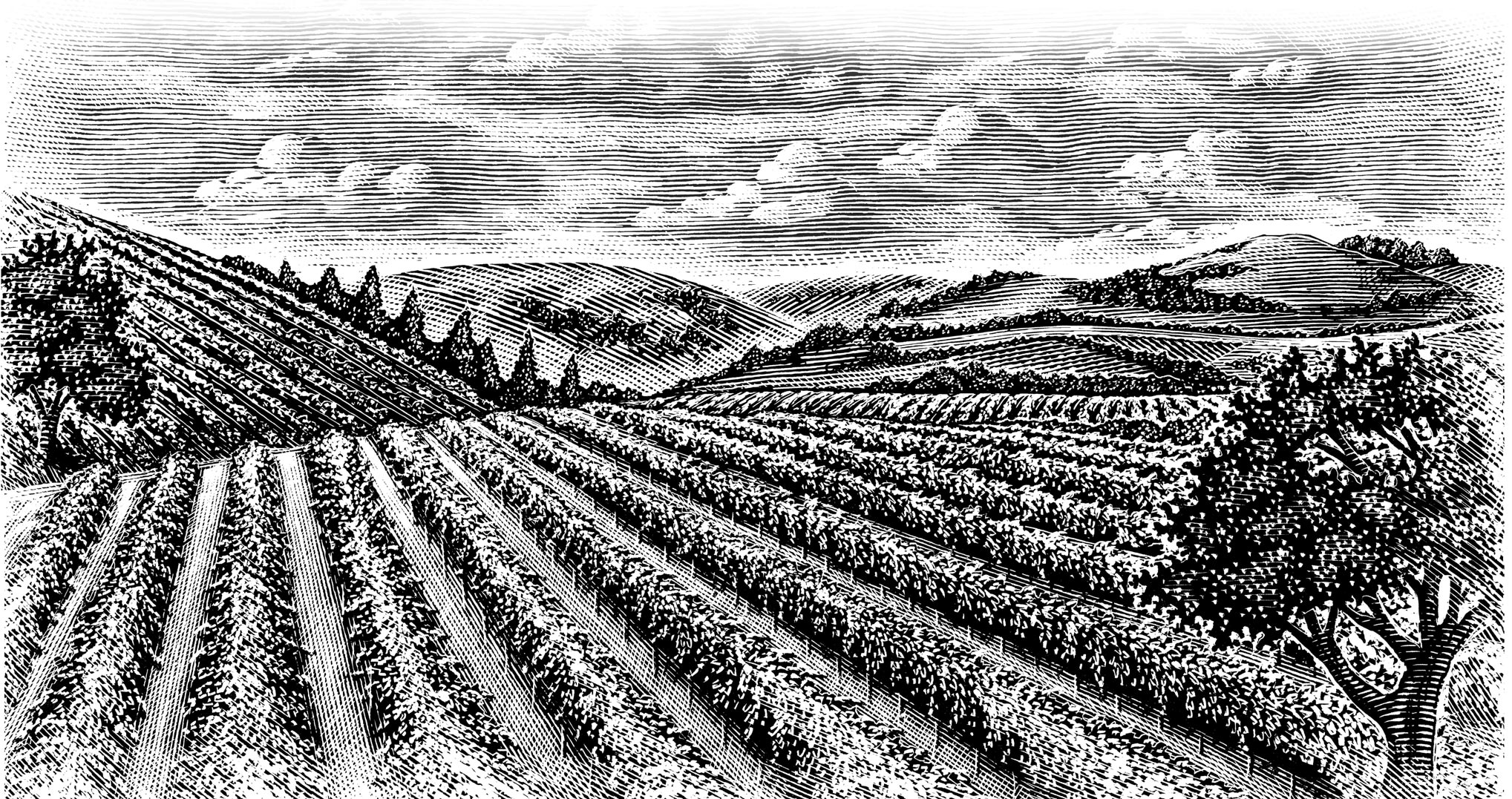 Booker & Butler - Wine country and vacation planning concierge